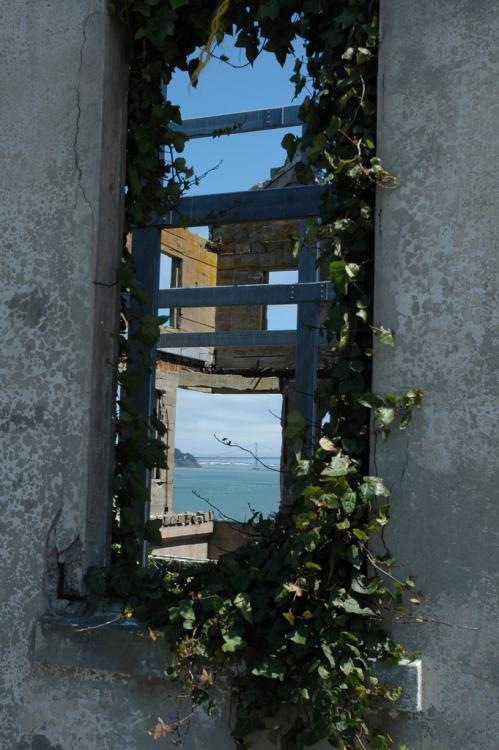 Alcatraz Window