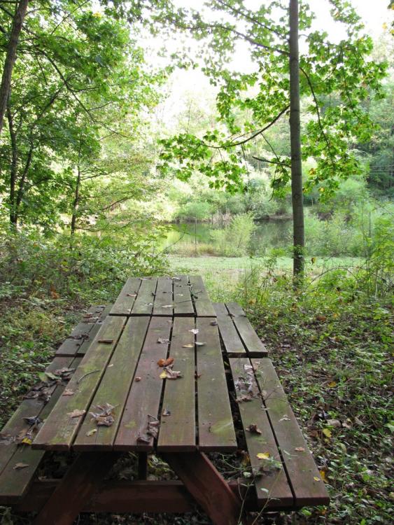 Picnic Tables