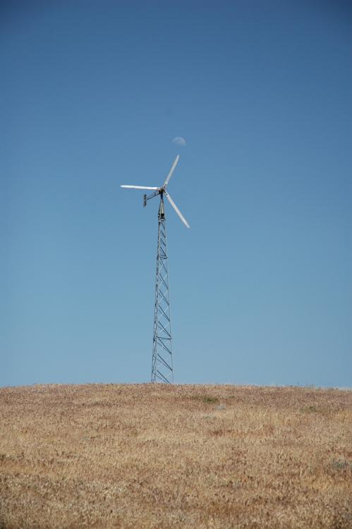 Windmill Moon