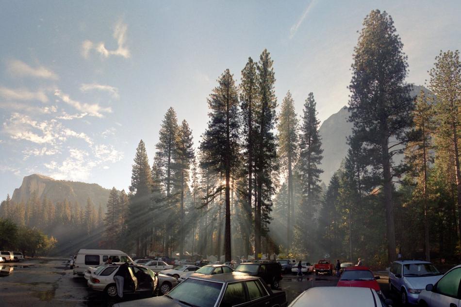 Yosemite Morning Fog