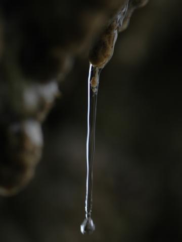 Water dripping from overhang